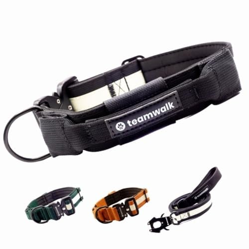 teamwalk® Premium Hundehalsband - mit Magnetgriff, Leuchtstreifen, Air-Tag Tasche, individuell einstellbar, weiche Polsterung, robuste Schnalle, mit passender Leine erhältlich, JETZT NOCH Leichter(S)