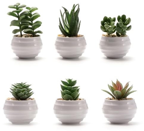 BERRYLION 6 Packs Succulents Fake Plants,Small Artificial Plants Indoor,Green Bookshelf Décor,Faux Plants for Home Décor,White Potted Fake Plant for Room Decor (6, 1)