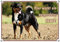 Petsigns Appenzeller Sennenhund - Hundeschild - TOP Alu Schild in Fotoqualität, DIN A5