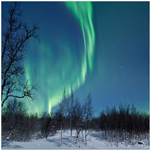 Wallario Glasbild Polarlicht in Schweden - 50 x 50 cm Wandbilder Glas in Premium-Qualität: Brillante Farben, freischwebende Optik