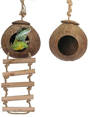 PINVNBY Nid en coquille de noix de coco naturelle pour reptiles - Avec boucle de suspension pour lézards, caméléon, gecko, petits animaux - 2 pièces