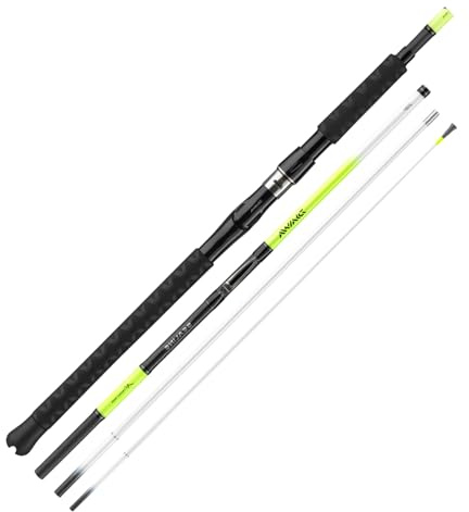 Daiwa Sealine X'Treme Interline Light 764MH 2,25m, 100-250g, Jigger-Meeresangelrute, 11845-226