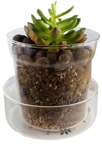 Jorzer Pot de fleurs en verre transparent avec trous de drainage, voir la croissance des racines avec soucoupe pour terrarium, pots de fleurs pour plantes grasses, bureau à domicile