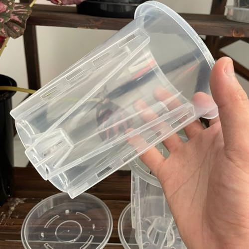 Set di 5 vasi per orchidee in plastica trasparente con rete per controllo delle radici e fori di drenaggio sui lati e sul fondo, con piattini (14 cm)