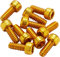 Reverse Escape Pro + Black One Pedal Alu Pin Set US goldfarben