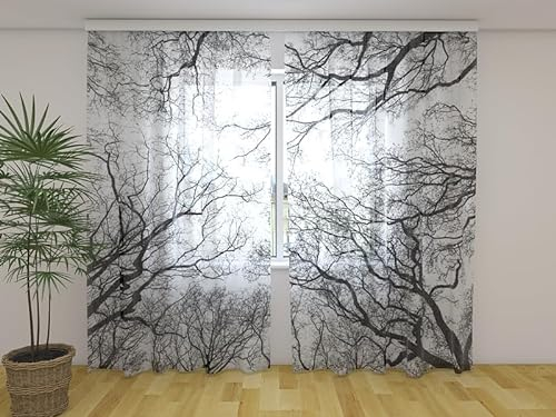Wellmira Fotogardine: Februar Himmel, Vorhang mit Fotodruck, Gardine mit Bildmotiv, Maßanfertigung, Material (Transparent (Chiffon))