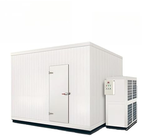 Conservazione frigorifera mobile commerciale, progettazione integrata della sorgente fredda, gamma di temperatura doppia da -18℃ a 10℃, controllo elettrico intelligente, capacità di 2-3 tonnellate per