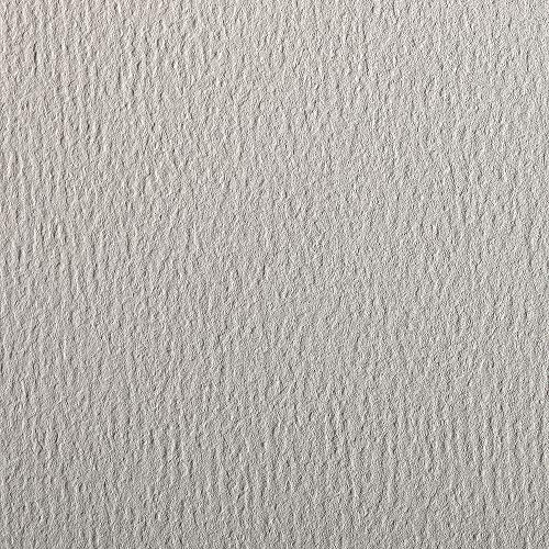 Clairefontaine 93881C Packung (mit 25 Bögen Zeichenpapier Etival Color, DIN A4, 21 x 29,7 cm, 160g, gekörnt, ideal für Trockentechnik und Einrahmen) hellgrau