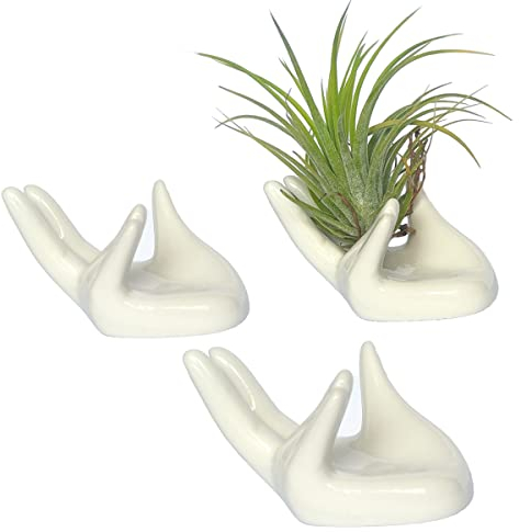 HH-LIFE 3 Stück Keramik Air Plant Ständer Halter, Luftpflanzen-Handhalter, Luftpflanzenständer Topf Hand Form Tillandsia Airplant Container Topf Tabletop Pflanze Display Hand Racks (weiß)