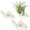 HH-LIFE 3 Stück Keramik Air Plant Ständer Halter, Luftpflanzen-Handhalter, Luftpflanzenständer Topf Hand Form Tillandsia Airplant Container Topf Tabletop Pflanze Display Hand Racks (weiß)