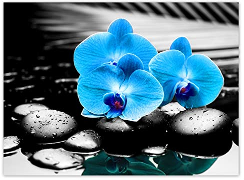 Wandsticker Deko Foto Sticker 135x100cm Türkis Orchidee Blume Nr.H5610M_NS1AS