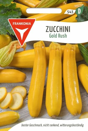 FRANKONIA Zucchini, Gold Rush F1 - Gemüse-Samen Saatgut Zucchini-Samen (Cucurbita pepo)
