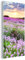 MuchoWow Glasbild Glasfoto Wandbild Bilder Deko 40x80 cm Blumen - Lavendel - Lila - Himmel - Sonnenuntergang - Wiese - Natur