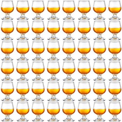 Qunclay 48 Pcs Shot Glasses Shot Glass Cute Cognac Glasses Small Brandy Snifter for Tasting Brandy Drinking Port Glasses for Whiskey Brandy Wine Beer (5oz)