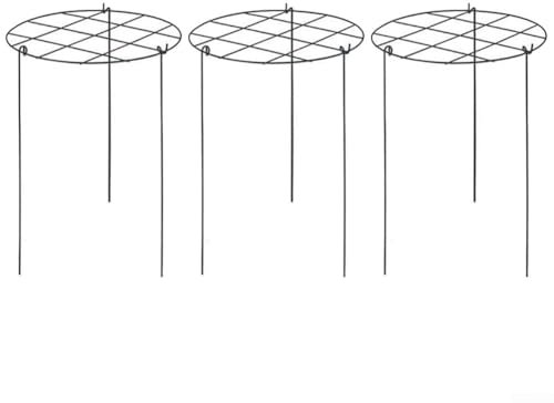 Plant Support Cage Set 3 Pack - 15.7 Tall Garden Plant Ring Stand for Peonies Roses Tomatoes Hydrangeas Strawberries - Metal Climbing Plant Frame Green 40x30x5cm(Grid type)