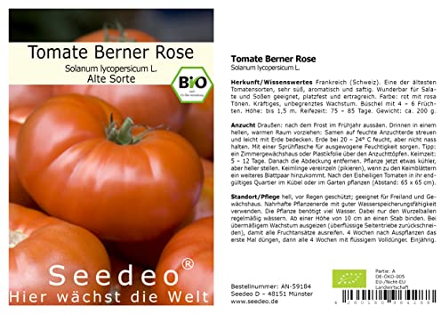 Seedeo Tomate Berner Rose (Lycopersicum L.) 25 Samen BIO