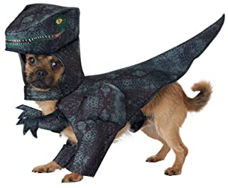 California Costumes COLLECTIONS Pet PUPASAURUS REX Dog Costumes, Orange, M Neck 14-16 Girth 20-24 Back 16 US