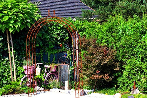 Garden and Pools Rosenbogen Holland B 240 cm Lilie Spitze Rost
