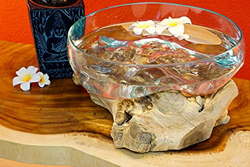 Kinaree Geschmolzenes Glas auf Wurzelholz - Glasschale auf Wurzel - Teak Holz mit Glasvase oder Schale (Schale 20 x 40 cm)