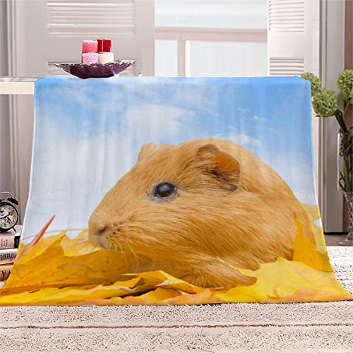 Aolity Kuscheldecke 150x200 cm Hamster Herbst Ahorn Meerschweinchen Decke Camping Kuscheldecke Flanelldecke Weich Wohndecke Sofadecke Decke für Kinder Erwachsene Kuscheldecke Draußen