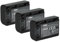 vhbw 3x batteria compatibile con Sony Handycam FDR-AX53E, FDR-AX53, FDR-AX700 videocamera camcorder (600mAh, 7,2V, Li-Ion) con infochip