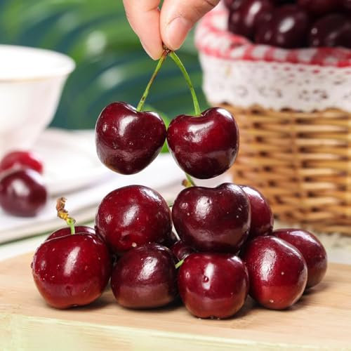 kirschbaum pflanze samen - kirsch bonsai samen, pflanzensamen、schnell wachsender pflanztopf、gartenpflanzen säulenobst winterhart zimmerpflanzen、pflanzen samen obstpflanzen、Dekorative 30pcs