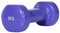 Sport-Tec Fausthantel, Gymnastikhantel, Vinylhanteln, Aerobic, Pilates, Workout, Muskel Training, Fitness Hanteln aus Vinyl, Stück
