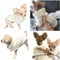 Chihuahua Clothes Puppy Dog Coat Knit Jumper Cosy Teacup Smaller Breeds XXXS Tiny Toy Miniature Dogs (XXXS, Ivory Cream)