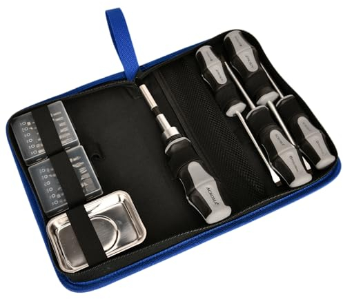 Acroma 31-teiliges Magnetisches Schraubendreher-Set inklusive Ratschenschraubendreher und 24 Bits, 4 Schraubendreher SL5 SL6 PH1 PH2 und Pick-up Werkzeug für alle Zwecke