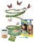 Butterfly Garden with 3-5 Caterpillars