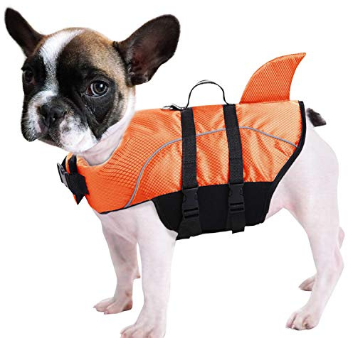 Queenmore Ripstop, Giubbotto di salvataggio per cani a forma di squalo, giubbotto di salvataggio di sicurezza con elevata galleggiabilità e maniglia di sollevamento, per razze piccole e medie