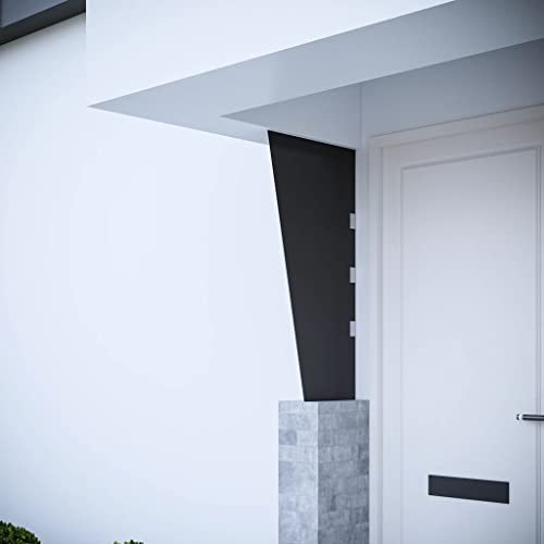 AUUIJKJF Home Items,Side Panel for Door Canopy Black 50x100 cm Tempered Glass,suit furniture
