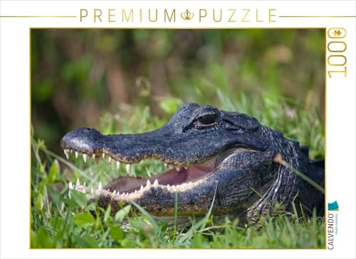 CALVENDO Puzzle Mississippi-Alligator 1000 Teile Puzzle quer | Lege-Größe cm Foto-Puzzle für glückliche Stunden