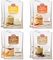 EasiYo Yogurt 8 Sachet Pack | EasiYo Everyday Mixed Pack | 2 x Banana 2 x Mango 2 x Raspberry 2 x Vanilla | Each Sachet Makes 1kg of Yoghurt
