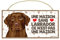 LABRADOR CHOCOLATE (37) Affiche Decoration Murale. Panneau Bois. Inscription avec votre animal préféré. Panneau Decoratif pour votre maison. Pancarte avec un chien.
