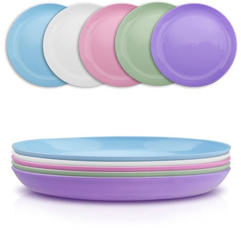 Duisoad 10 Pieces Large Deep Plastic Plates - Lightweight, Unbreakable Dinner Plates for Kitchen, Picnic, Barbecue, Pasta