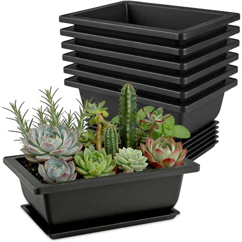 6Pcs Bonsai-Töpfe mit Untersetzer,16x12x6cm,Bonsai Pot aus Kunststoff | Wiederverwendbare Bonsaischale,ideal für Sukkulenten Kräuter Zimmerpflanzen,bruchfest & leicht, Garten Balkon Büro