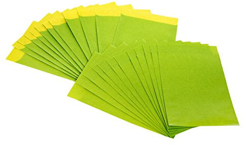 Logbuch-Verlag 10 grüne Papiertüten klein 13 x 18 cm Umschlag Weihnachten Verpackung Schmuck Tüte give-away Gastgeschenk Kunden Tüte Beutel flach