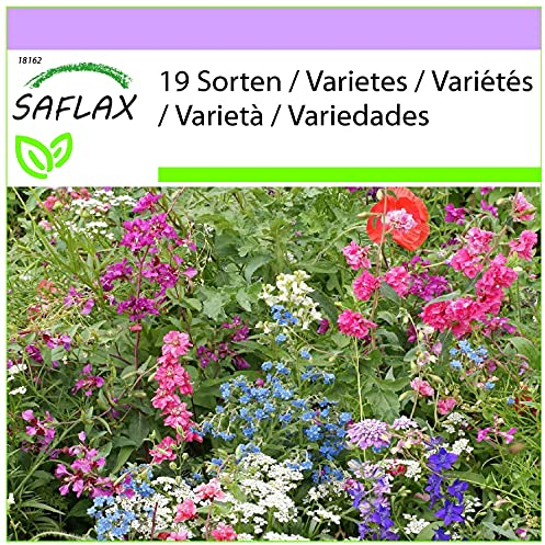 SAFLAX - Plantes d'ombre - 1000 graines - 19 Sorten