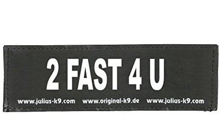 Julius-K9 162LR-K-39495 Klettaufschrift, 2 Fast 4 U, klein, schwarz
