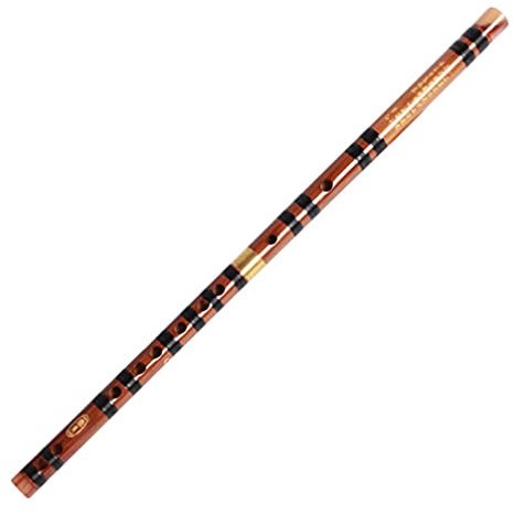 1 Stk Bambusflöte Tragbare Flöte Chinesisch Bambus-dizi-flöte Hölzern Holzflöte Dizi Kleine Flöte Japanische Flöte Flötenmembran Shakuhachi Messing Dimo Student Nachahmung Von Horn