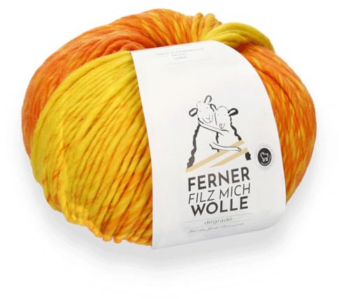 Ferner Wolle Filz Mich, Filzwolle mit Farbverlauf, 200g, 100% Wolle, für zwei gleiche Filzschuhe, mit Trennfaden, strickfilzen, stricken und filzen in der Waschmaschine (F2050)