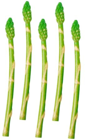 GRIRIW Künstliche Spargelmodelle Lebensechte Spargel aus PVC 5 Stück Realistische Grüne Spargeldekoration Fotorequisite für Gemüsegeschäft und Hausdeko für Kinder