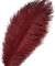 Crenze 10Pcs Straußenfedern 12-14Inch (30-35cm) Für Haus Hochzeitsdekoration bietet (Burgund)