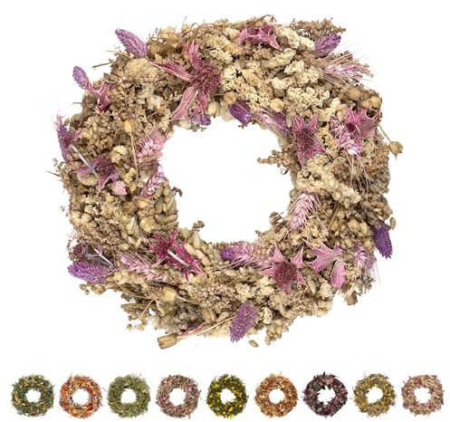 PHILARO Trockenblumenkranz All Seasons Ø 30cm lila - kein Plastik I Trockenblumen Premium Qualität aus Europa - Türkranz - Tischkranz - Wandkranz - Trockenblumenkranz