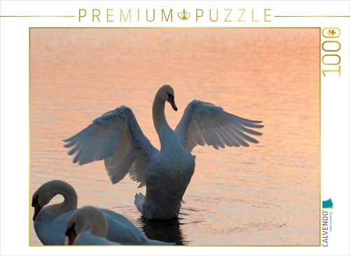 CALVENDO Puzzle EIN Motiv aus dem Kalender EIN Jahr mit den Schwänen | 1000 Teile Lege-Größe 64 x 48 cm Foto-Puzzle für glückliche Stunden