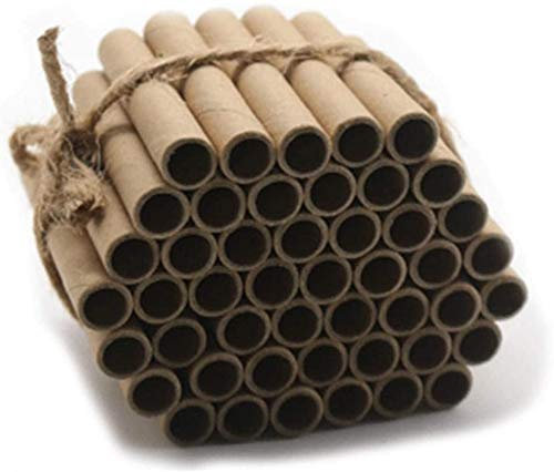 Super Idee 100er Set Insektenhotel füllung Pappröhrchen Füllmaterial 60mm Länge Umweltfreundlichen Basteln aus Kraftpapier für Insektenhaus Wildbienenhotel Wildbienenhaus Bienenhotel Nisthilfen