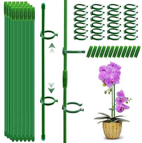 qianduoduo Orchideen Stäbe, Pflanzenstütze,24 Stück 30cm Pflanzenhalter, mit 24 Karabinern Ausgestattet, mit 12 Verlängerungsrohren, Blumenstütze,Tomaten rankhilfe, Rankhilfe Zimmerpflanzen(60PCS)
