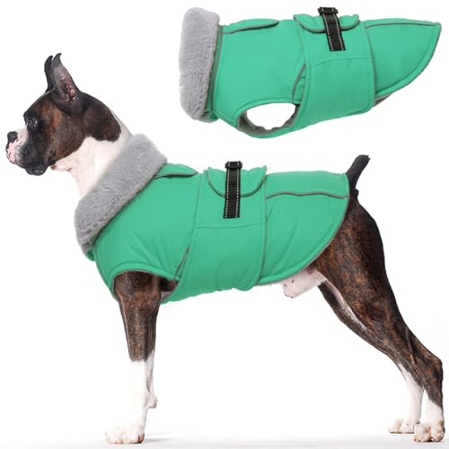 Lelepet Winter Hundemantel, Wasserdichter Wintermantel für Kleine Hunde, Warme Hundejacke mit Fleecekragen, Hund Winterjacke Outdoor Schneeanzug (Grün, S)