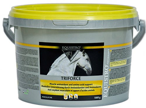 Equistro Triforce 1,8 kg